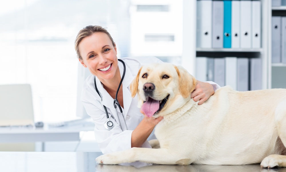 Checklist-for-veterinary-practice-sellers