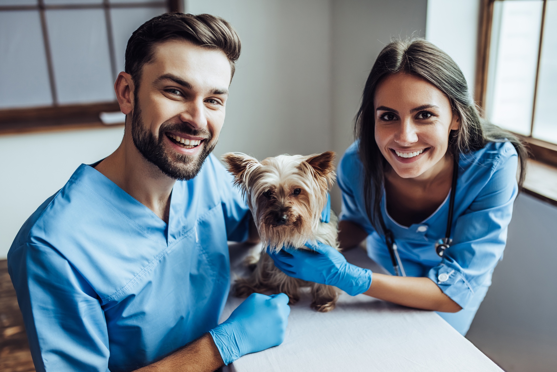 Veterinary Practice Appraisal